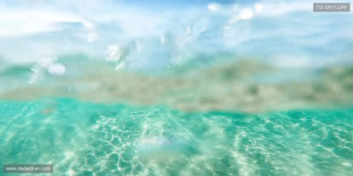 🌟🎮 周边精品,彰显热爱!